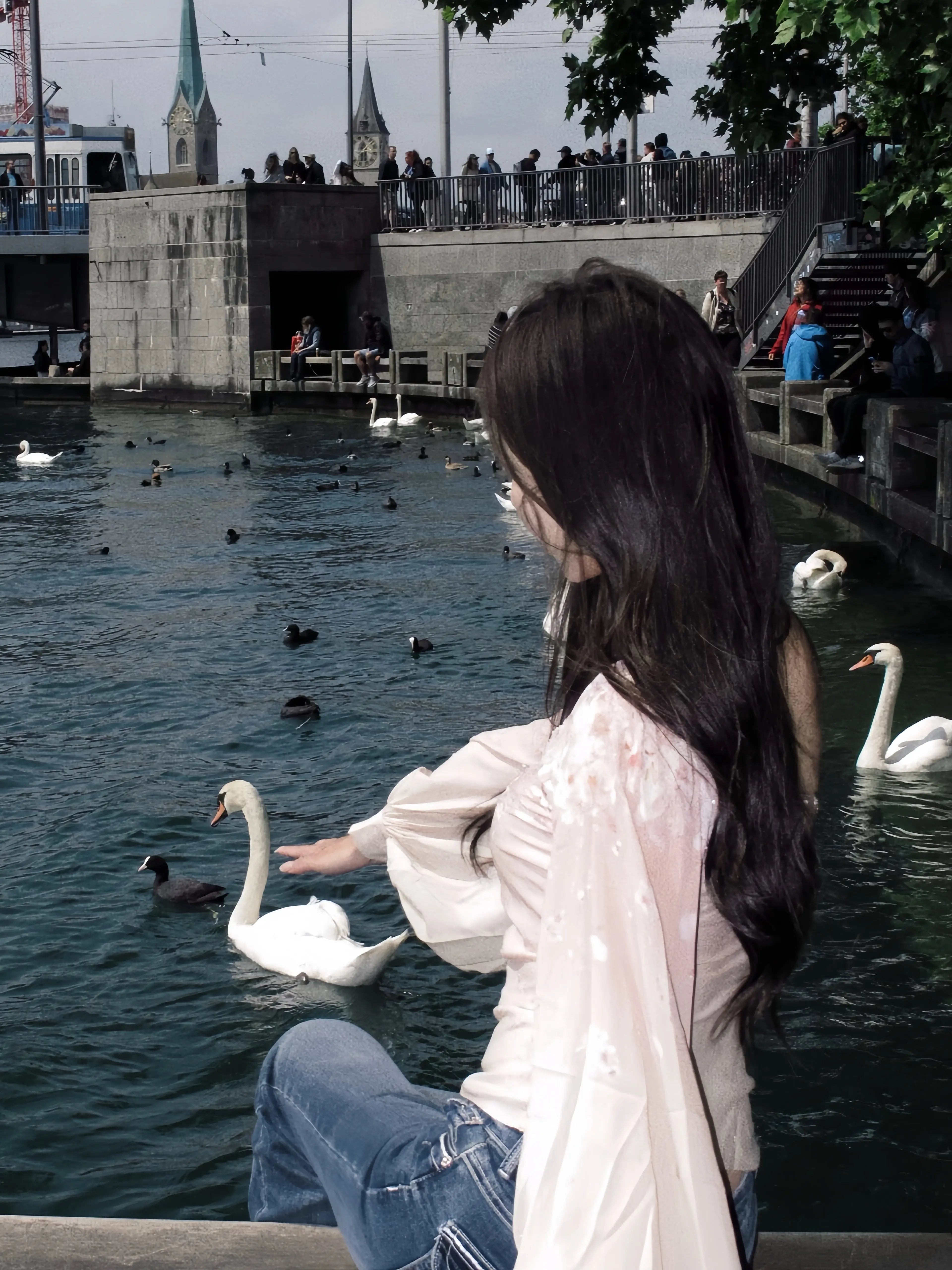 asymmetric top Sheer Snake-Print Off-Shoulder Top - Velanocta