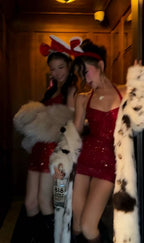 Crystal Mesh Halter Bodycon Dress